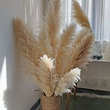 �W�t�JȔ�ɻ������滨�͏d�[�O����҃�ins�[��������Ȼ��Ȕ