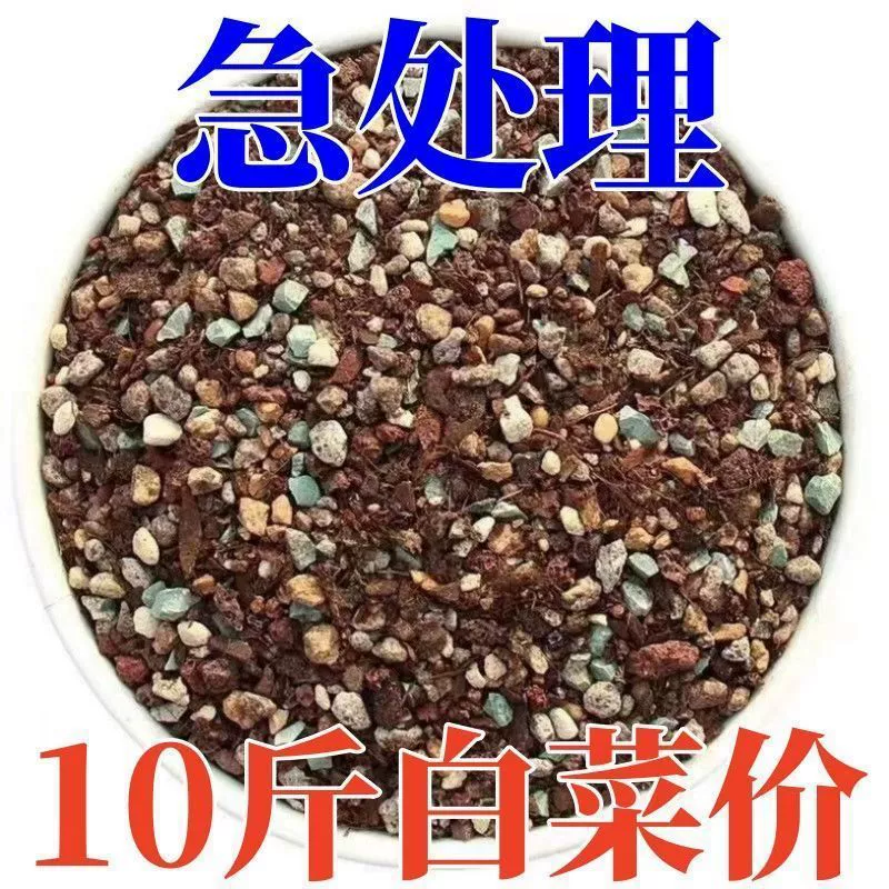 Суккулентная гранулированная почва, питательная почва для суккулентов, специальная почва для растений, медицинский рисовый камень, специальная почва для суккулентов, распродажа