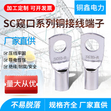 scӾǽӾ늾|^aSCQ䉺Ӿ