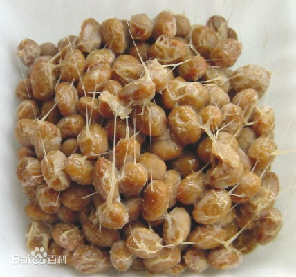 Natto kinase 20,000 FU/g Natto extract Natto fermented substance Natto bacteria 100g/bag