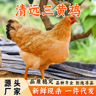 ��һ�����l�����S�u���u�ߵ��u���r�F�����r�u���l�������l