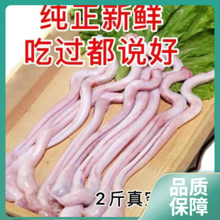 ll���r�������1������Ҝ���������غ������������������ʳ