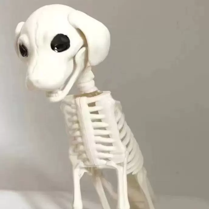 万圣节恐怖骷髅动物骨架哈巴狗狗布置道具战斗狗摆件骷髅头