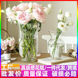 玻璃透明花瓶客厅桌面插鲜花水培养ins风喇叭口创意装饰摆件批发