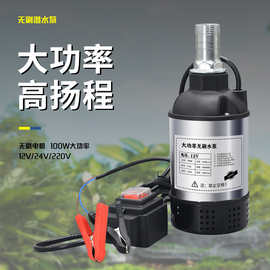 德国技术直流DC无刷潜水泵无人机加药泵12V24V220v电瓶泵农用