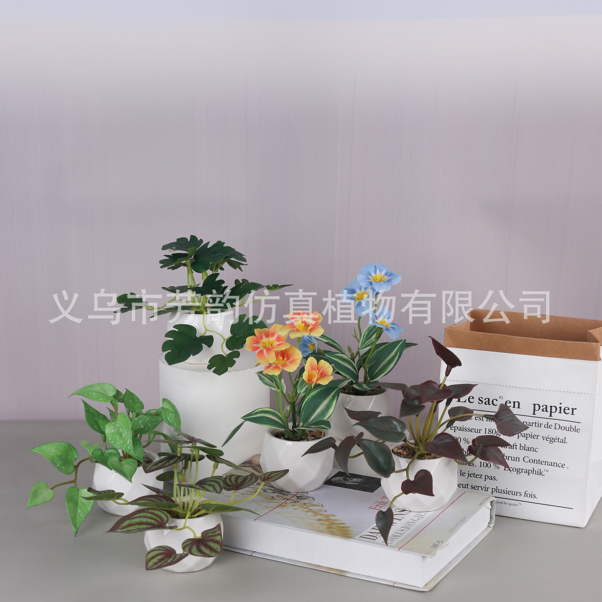 Spot flor falsa árbol de hierro cerámica bonsai Amazon decoración para el hogar escritorio maceta pequeña decoración fabricante de comercio exterior
