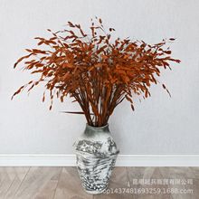 【大扎永生小盼草】真花干花花束ins北欧风客厅摆设永生花小盼草