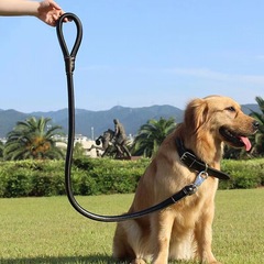 Dog Leash PU Leather Collar Cattle Dog Rope Medium Large Dog Golden Chain Durable Dog Walking Set