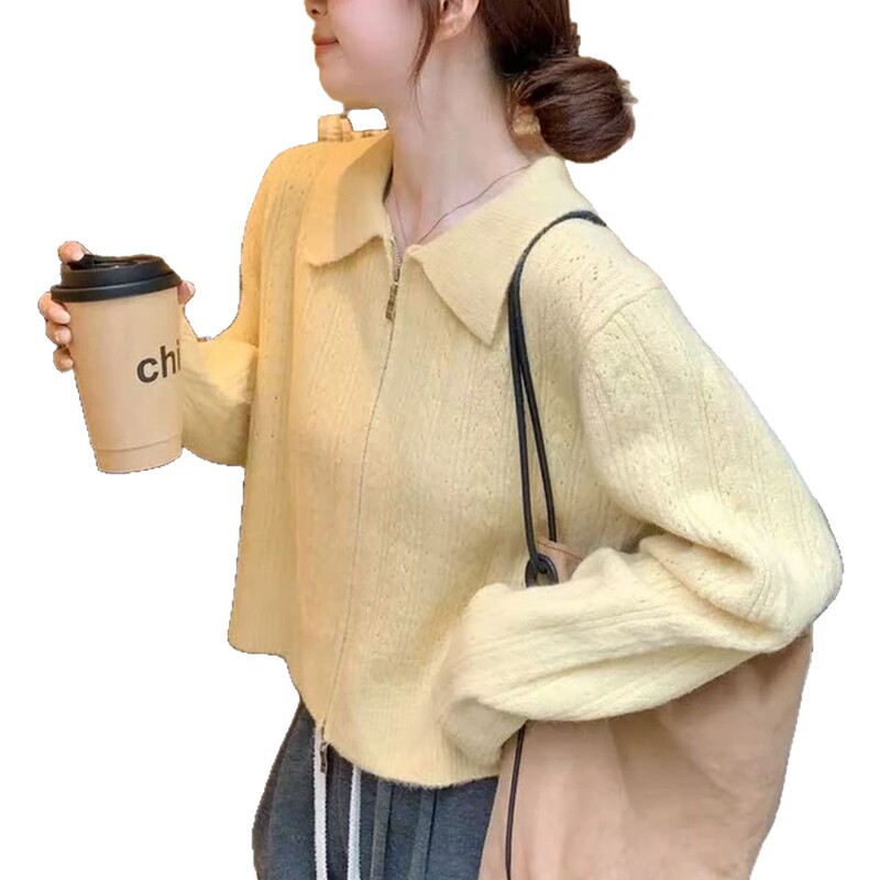 2025春秋新款翻领针织开衫外套女甜美温柔气质毛衣舒适休闲上衣潮|undefined