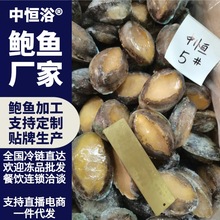 活冻鲍鱼 5头大鲍鱼红烧切片清蒸佛跳墙材料供应酒店餐厅冻品批发