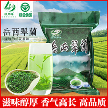 岳西绿月2023明后新茶大别兰香绿茶山高山云雾茶袋装批发绿茶茶叶