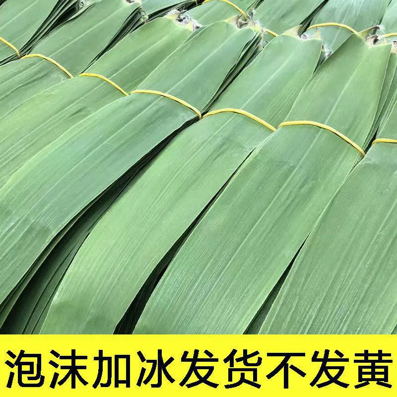 Свежие большие листья дикого риса для больших мясных зонгзи, большие рисовые листья для фестиваля драконьих лодок, производитель тростниковых листьев.