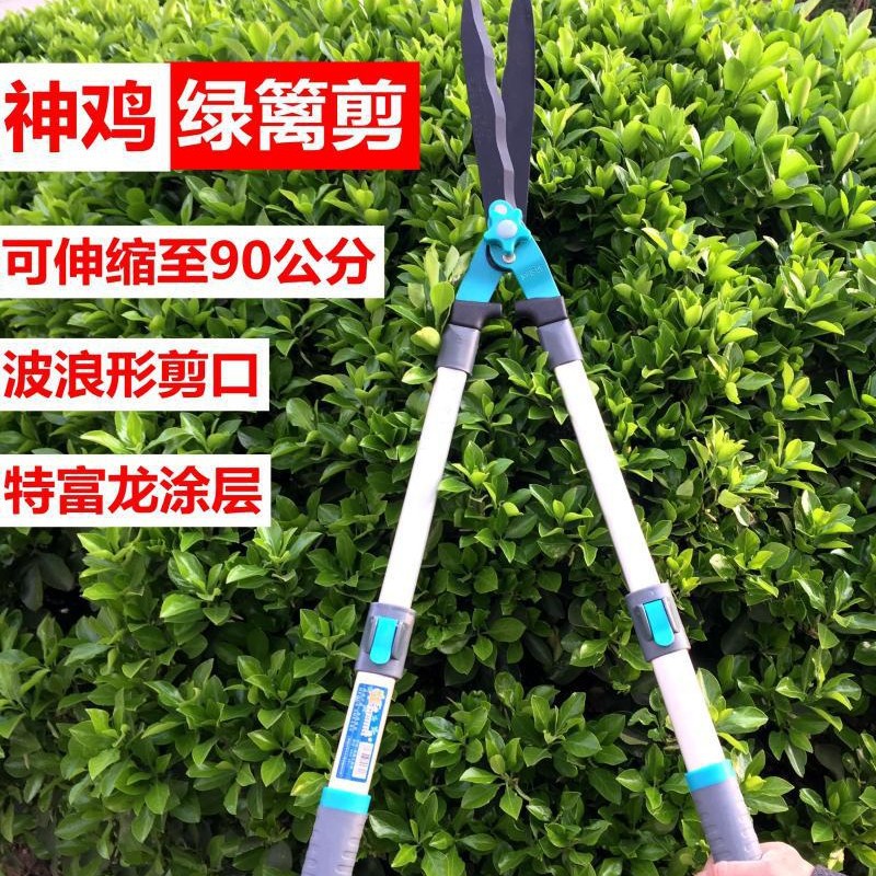 正品神鸡可伸缩整篱剪园艺剪修枝剪大草剪
