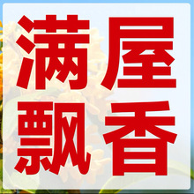 һ�����l����ɽ�軨���Ԙ��玧������ɫ�൤�ļ��_�����҃�ֲ���