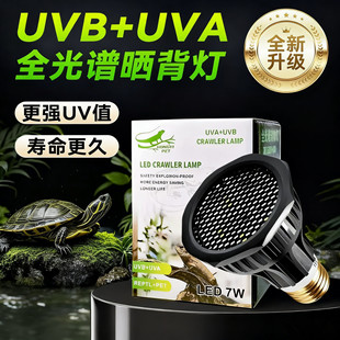 �G������񱳟����xUVB�a�}�����������⾀�a�}���ӟ�������ן�