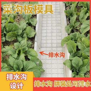 Vegetable Ditch Board Mold Thickened Plastic Vegetable Ditch Board Finished Vegetable Field Courtyard Pastoral Cement Vegetable Ditch Board Mold