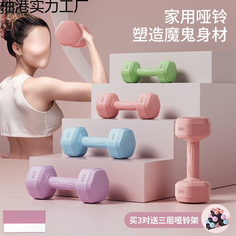 Dumbbells for Women, Fitness Equipment for Home, Slim Belly Barbell, Kettlebells, Children, Teenagers, Female Small Dumbbells, a Pair