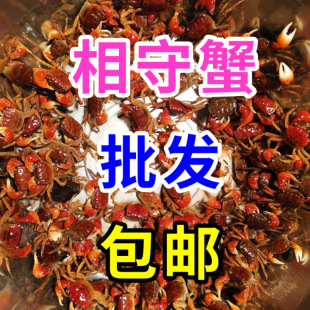 ���l 500ֻ����зҹ�Д[�����w����w�^�pз��ˮ�з����ˮ������