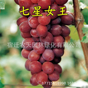 ���������ӡ�����ᭇָ��������������ј��m�ϱ����Nֲ����Y��