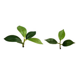 仿真植物树叶迷你榕叶绿植单片榕树叶工厂配件榕叶樟叶厂家批发