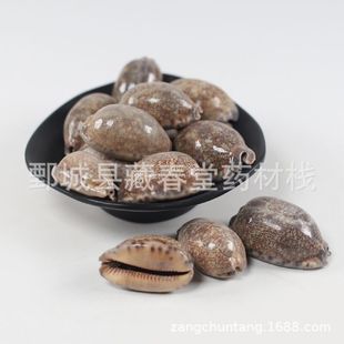 ���l��ș�� ��ؐ�X500�� �Vʯ�ș����ؐ�X �F؛��������ă�
