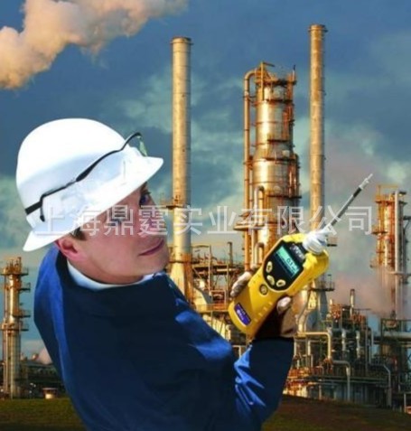 RAE PGM-7320 VOC ���� ��������