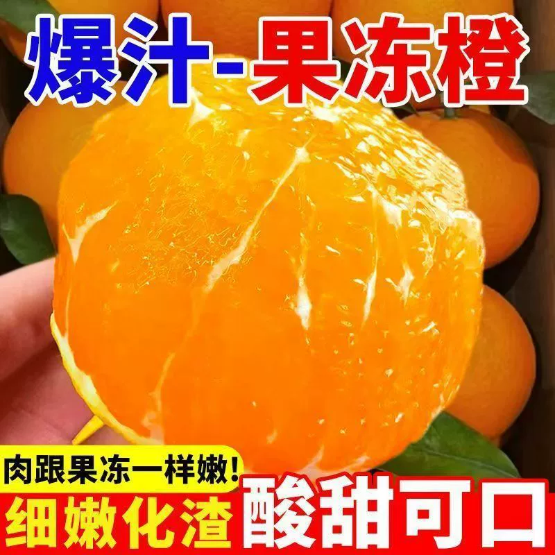 Freshly Picked and Shipped from Meishan, Sichuan, Ehime No. 38 Hand-Peeled Orange Jelly Orange Fresh Orange Fruit One-Piece E-Commerce Fruit Freshly Picked and Shipped from Meishan, Sichuan, Ehime No. 38 Hand-Peeled Orange Jelly Orange Fresh Orange Fruit One-Piece E-Commerce Fruit