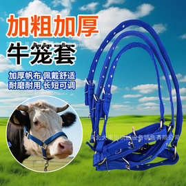 加厚栓牛脖套牛羊项圈牛脖套栓牛专用绳子新款牛笼套