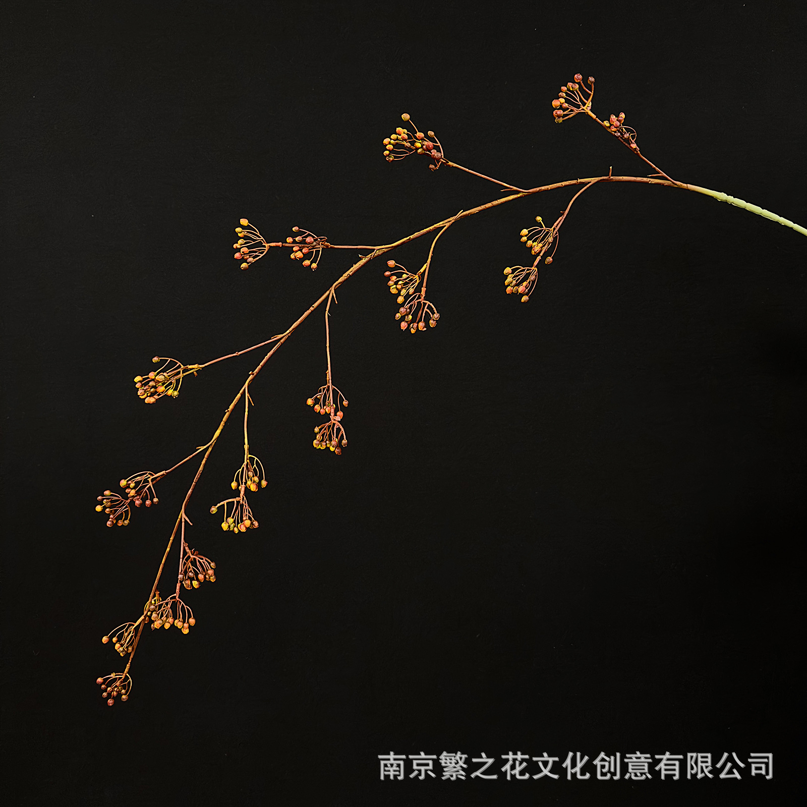 붉은 산으로의 귀환