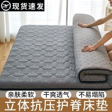 床垫铺底双人床垫1.8x2米加厚褥子出租房防滑塌塌米家用两用床垫