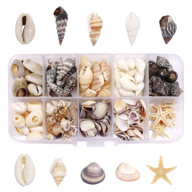 Non-Porous Natural Conch Shell Starfish Decoration Fish Tank Aquarium Landscape Scenery Props Set Material Package Non-Porous Natural Conch Shell Starfish Decoration Fish Tank Aquarium Landscape Scenery Props Set Material Package