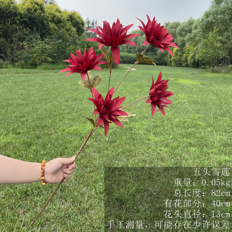 mmexport1628927328125_副本