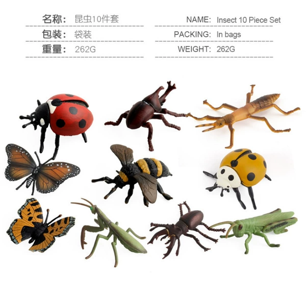 10 insect sets 141g