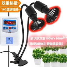 ��������ӟ���ֲ�����a�ؼӟ���������ů�������մɜ��ұ���