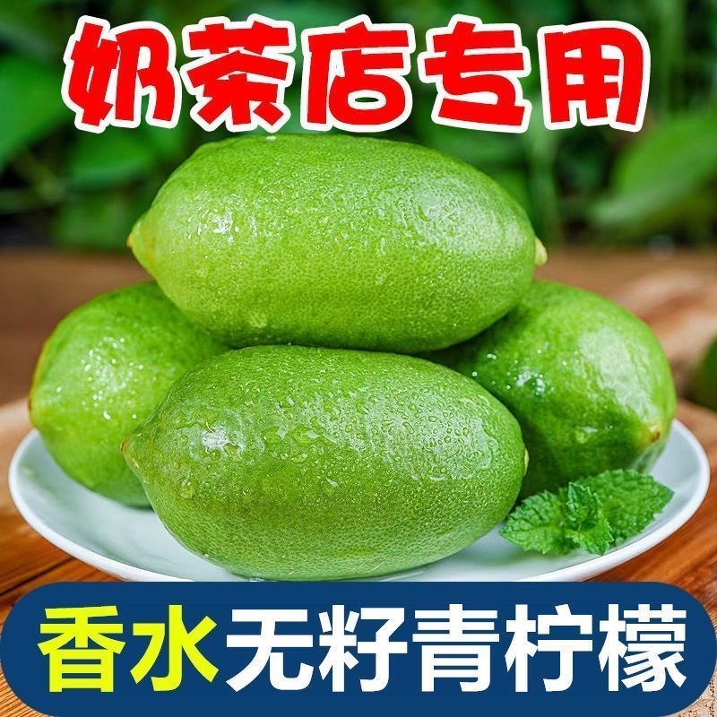 Seedless Fragrant Lemon Milk Tea Shop Special Fresh-Picked Large Fruits Seasonal Green Lemon Fruits Wholesale Whole Box Free Shipping Seedless Fragrant Lemon Milk Tea Shop Special Fresh-Picked Large Fruits Seasonal Green Lemon Fruits Wholesale Whole Box Free Shipping