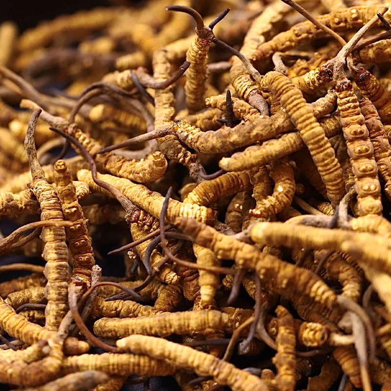 d70803e55eb68b08964d65f6ec1ce2