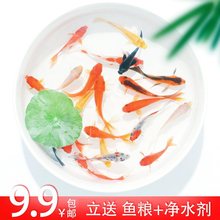 �ݽ��~�t�\�a���~���w�^�p�~��ˮ��ˮ�д�����ؔ���B�ͻ�С���~��