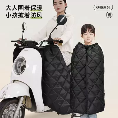 Electric Vehicle Windshield Skirt, Other Electric Vehicle Accessories