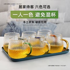 玻璃水杯带把手耐高温防爆泡茶杯家用大容量喝水杯套装ins简约杯