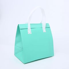 Aluminum foil non-woven portable thermal insulation bag for take-out lunch fast food bag bag food preservation and cold storage