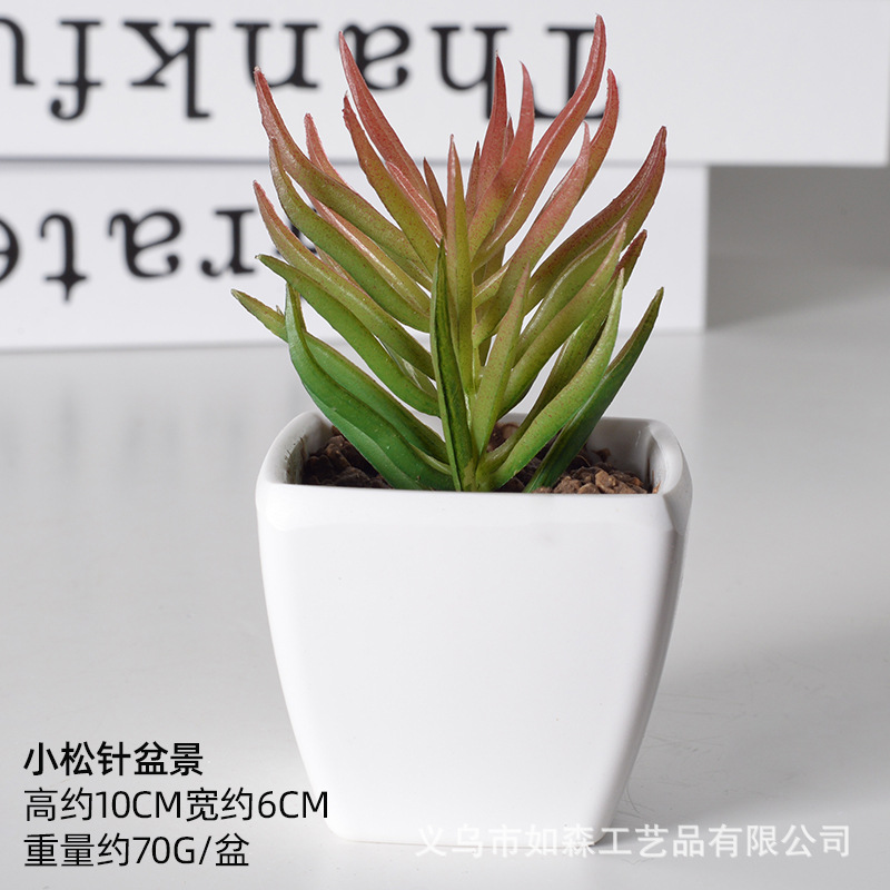 Simulación de plástico carnoso bonsai flor falsa combinación oficina interior escritorio plantas verdes pequeños adornos plantas artificiales al por mayor image 47