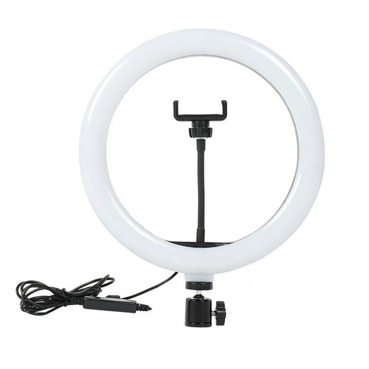 LED fill light, 10 inch, 12 inch