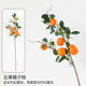 Five-fruited orange branch