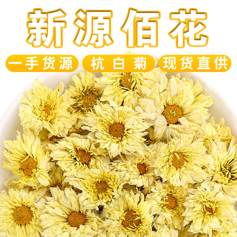 批发新货杭白菊朵菊散装菊花茶叶供应桐乡胎菊产地现货朵花菊花茶