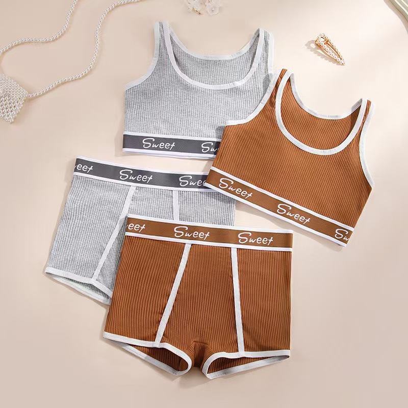 Traje deportivo de fitness europeo y americano transfronterizo Pantalones cortos para correr Ropa interior deportiva para mujer Pantalones bóxer Comercio exterior Traje de sujetador de talla grande