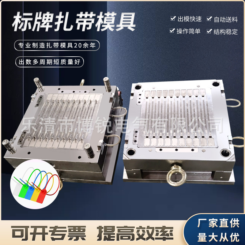 模具制造中心 专业制造各种封条扎带模具 热流道模具尼龙扎带模具