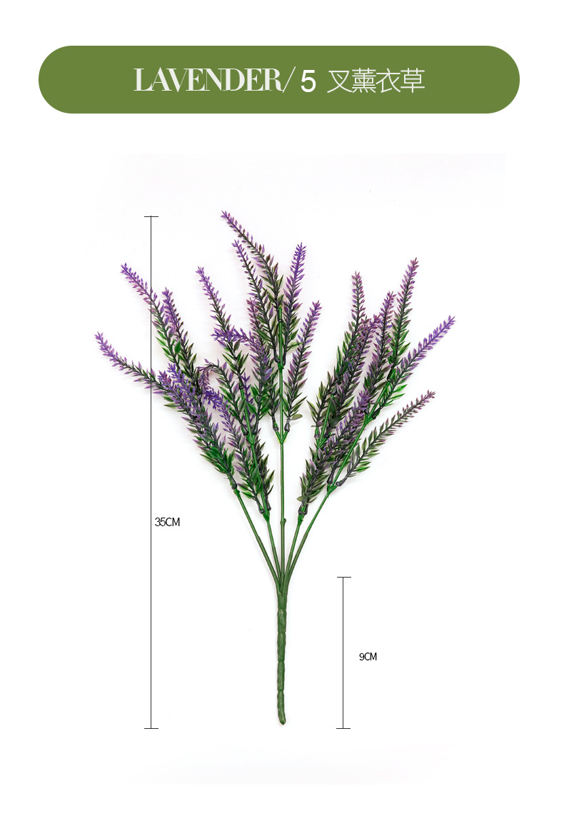 薰衣草_02.jpg