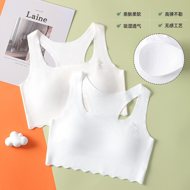 Seamless Underwear for Girls During Development, Shaping and Posture Correction, Anti-Hunchback Vest for Young Girls, Thin Bra for Middle and High School Students