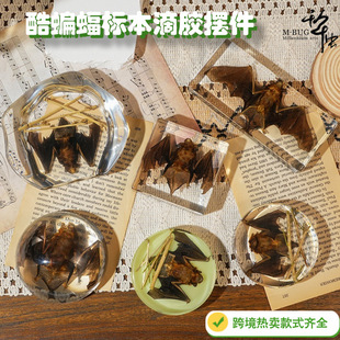 Cross-Border Foreign Trade Bat Specimen Teaching Ornaments Book Town Novelty Gifts Resin Crafts Student Teaching Aids Finished Product