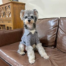 狗狗服装;猫猫服饰;宠物帽子